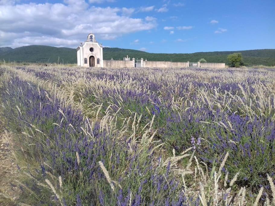 Gite Les Granges Dans Ferme Provencale. 14 Pers Ongles Екстер'єр фото