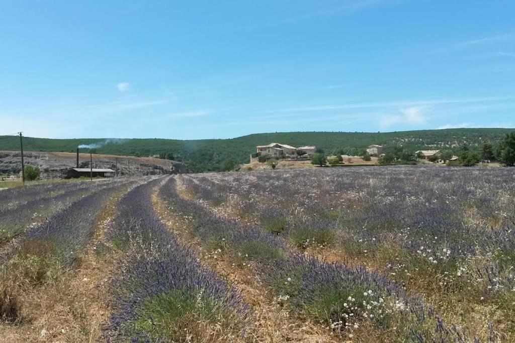 Gite Les Granges Dans Ferme Provencale. 14 Pers Ongles Екстер'єр фото