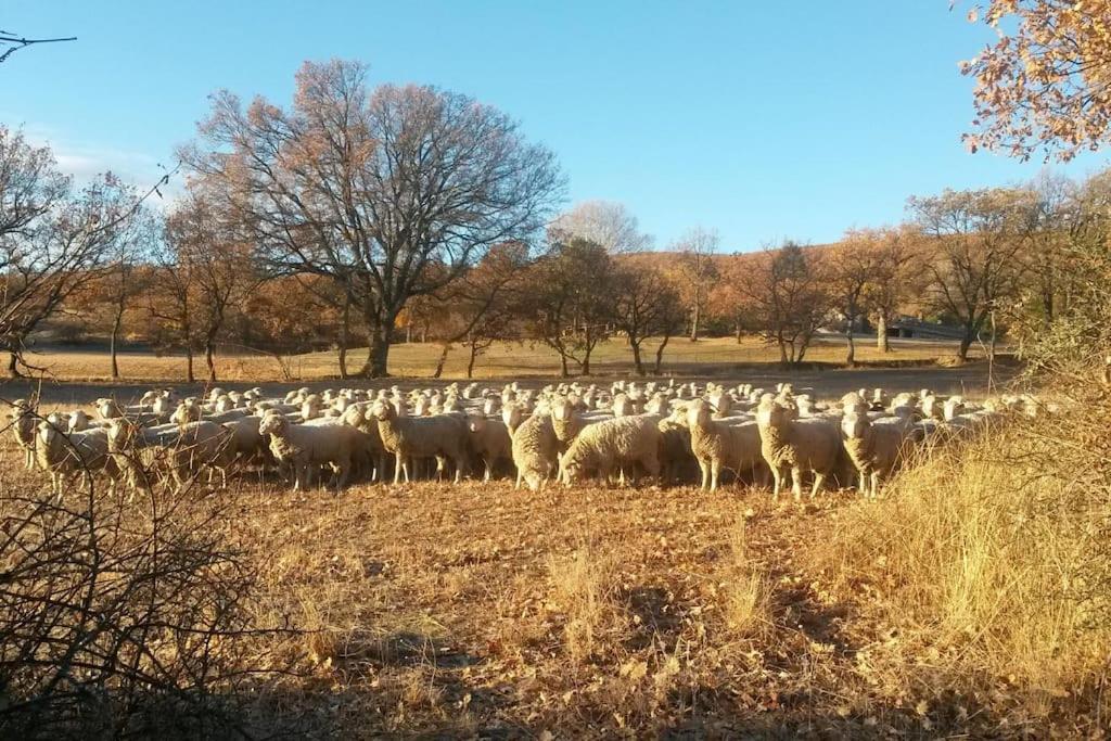 Gite Les Granges Dans Ferme Provencale. 14 Pers Ongles Екстер'єр фото