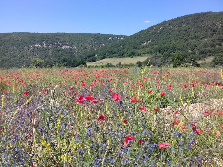 Gite Les Granges Dans Ferme Provencale. 14 Pers Ongles Екстер'єр фото